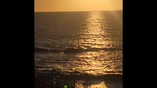 A Beautiful Beach Day in Southern California!