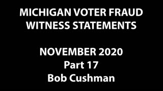 2020 Election - MI Voter Fraud Witness Bob Cushman Explains Structural Problems With Voting System