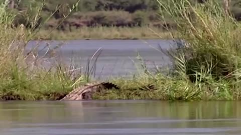 British teen 'lucky to survive' Zambia crocodile attack