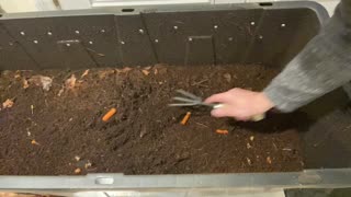 #29 Vermicomposting, Organic Minerals and Nutrient Factory, Plant Nutrition Comes From The Soil.