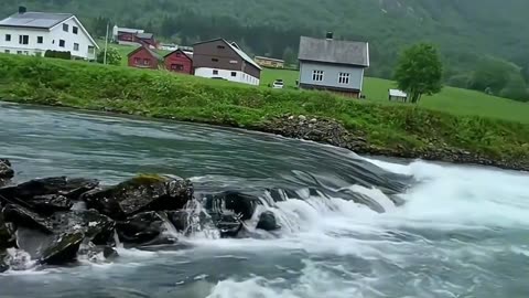 Beautiful Nature video