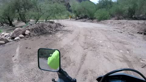 DONKEY'S IN THE AZ DESERT / CASTLE HOT SPRINGS & MUD