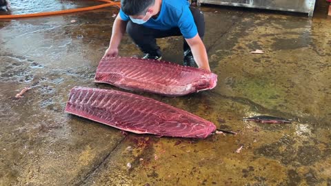 Amazing bluefin tuna cutting skills(4)-It involves sharp knives.