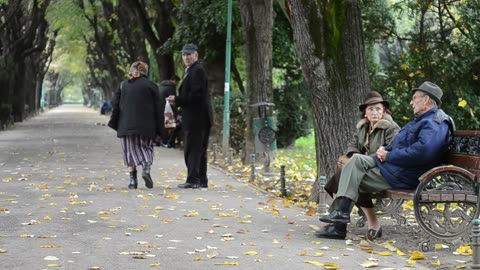 Elderly Couple Enjoy Talking At Park