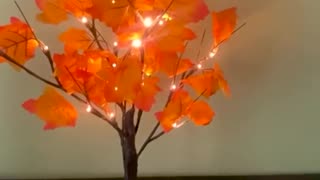 LED Autumn/Fall Maple Tree www.thefamilyshopusa.com