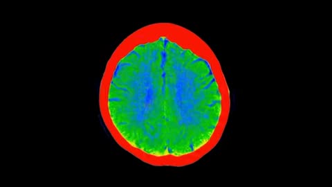 🎡🔬 The Greatest Scientific Theories On Consciousness 🔬🎡