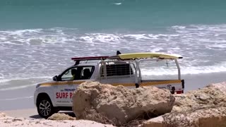 Search called off for Aus shark attack victim