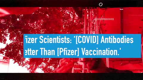 Pfizer Scientists: ‘Your [COVID] Antibodies Are Better Than The [Pfizer] Vaccination.' #ExposePfizer