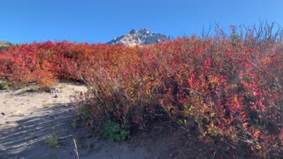 Oregon – Mount Hood – Fantastic Fall Foliage – 4K