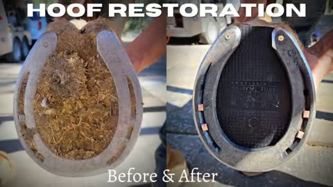 Very Satisfying - Hoof Restoration - Farrier ASMR