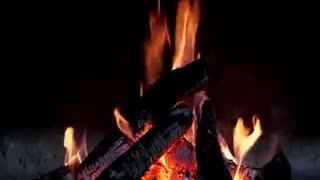 Outdoor Fireplace 10 hours. Relaxing nature sounds