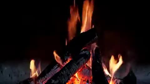 Outdoor Fireplace 10 hours. Relaxing nature sounds