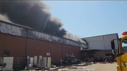 Thick black plumes of smoke billow from Springfield Park business fire