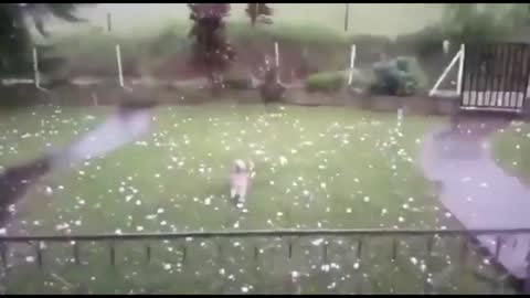 10 Powerful Hail Storms RECORDED ON CAMERA