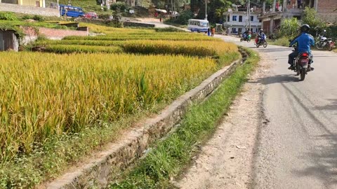 Off road ride pulsar 150 - Sirutar Bhaktapur to Lakuribhang