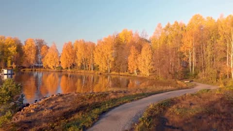 Enchanting Autumn Forests with Beautiful Piano Music