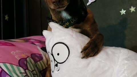 Dog Hugs a Plushy