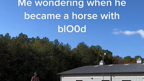 Me wondering when he became a horse with b00d