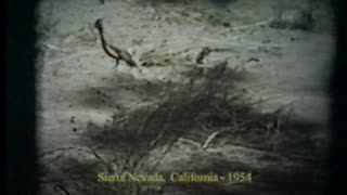 Sierra Nevada UFO Crash #119722