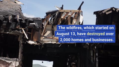 Russia-Ukraine war/Death toll reaches 101 in Maui wildfires/Greeks battle to save beaches