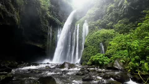 Experience Nature's Relaxing Sounds: A Journey Through the Waterfalls and Forest