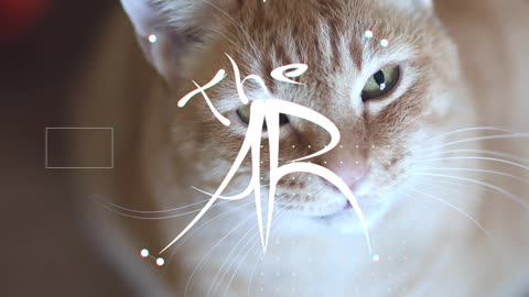 Testing out my intro transition featuring my new logo and my cat, Oliver | Davinci Resolve 18