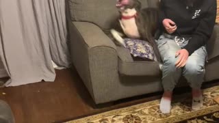 Dog Excited To See Soldier