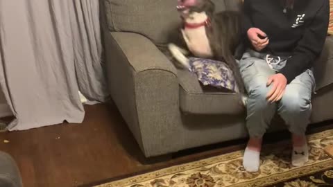 Dog Excited To See Soldier