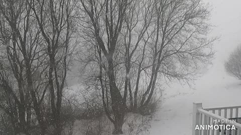Vermont Snow Squall