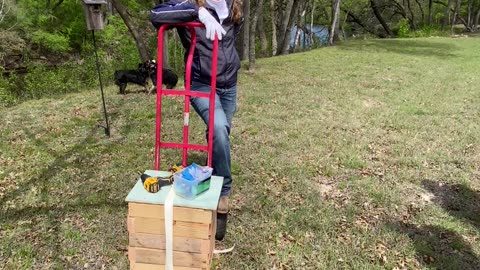 The difference between my hives(horizontal) and langstroth hives (vertical)