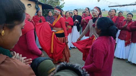 Tharu Community Cultural Dance "Maghauta" in Nepal