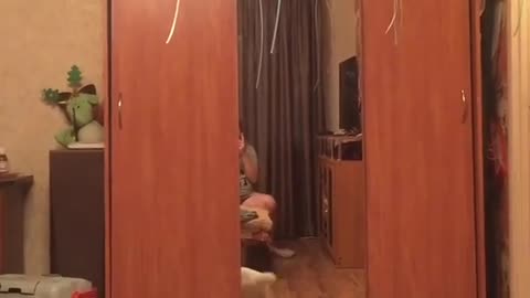Funny cat catches balloons