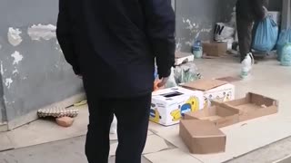 Aktivisti nxjerr VIDEO-n: Sekuestrohen 30 kokrra vezë, 5 kg sallatë dhe pras i freskët
