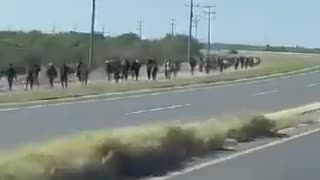 Illegals got off the trains and are NOW walking 25 Miles to the PROMISED LAND