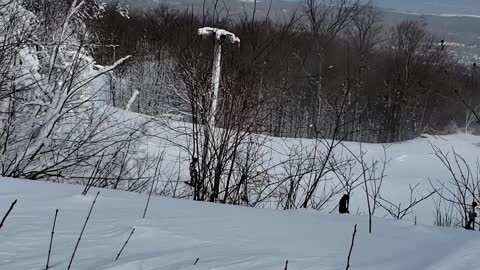 From Peak of the Mountain, the Blue Mountain