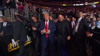 President Donald Trump and Tucker Carlson at UFC