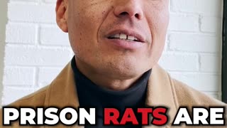 Prison Rats Are Career Criminals
