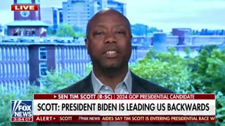 Sen. Tim Scott: "The road to socialism runs right through a divided Republican Party."