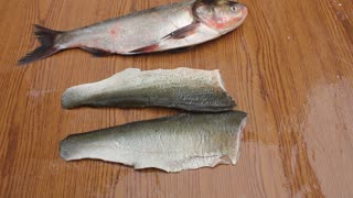 Kako filetirati tolstolobika (How to fillet silver carp)