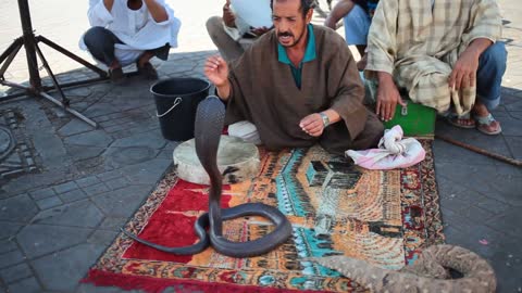 Marrakesh Snake Charmer
