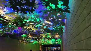 MAN MADE FOREST IN THE BIGGEST AIRPORT IN THE WORLD 🌎