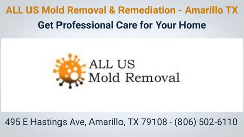 Affordable ALL US Mold Removal in Amarillo TX
