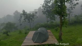 Not Solo Camping • Couple Camping in Heavy Rain & Rainstorm • Relax with Sounds of Rain