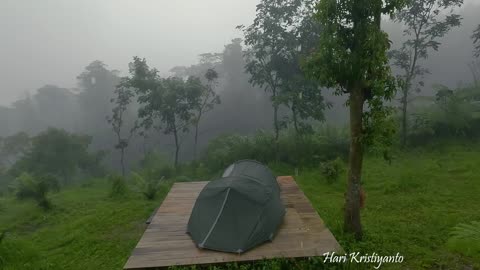 Not Solo Camping • Couple Camping in Heavy Rain & Rainstorm • Relax with Sounds of Rain