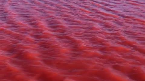 YET ANOTHER TURNS RED~THE NILE IN EGYPT TURNS RED 9/11/23