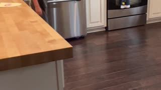 Kid Pulls Brother on Hoverboard