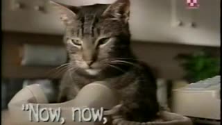 2000 - Baxter the Cat Dials His Owner