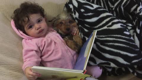 Beba y cachorro leen cuento antes de dormir