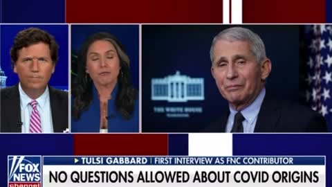 Fox News Fauci Lied Millions Injured and Died via “safe and effective” C19-SADS Clotshots