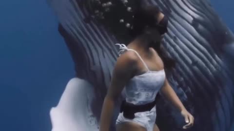 A beautiful girl swimming with the big blue whale.